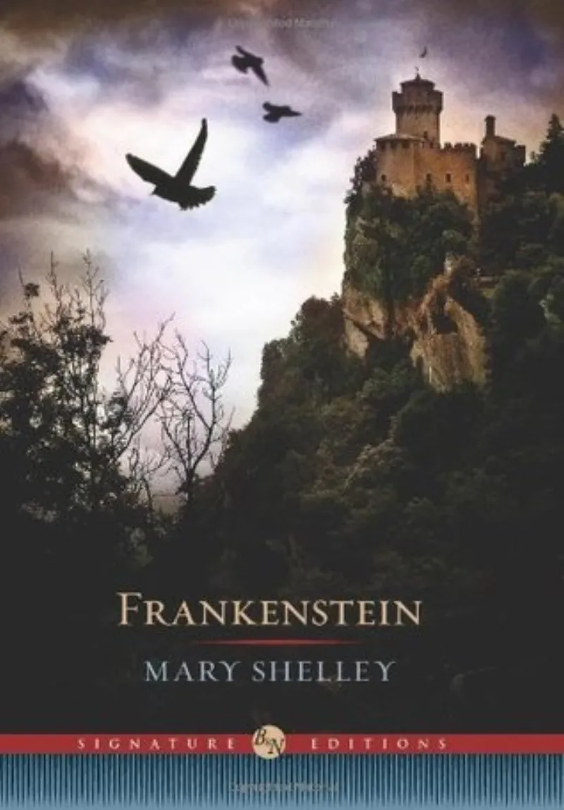Image of Shelf copy