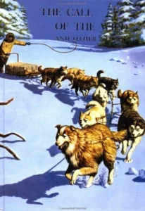 The Call of the Wild and other stories cover