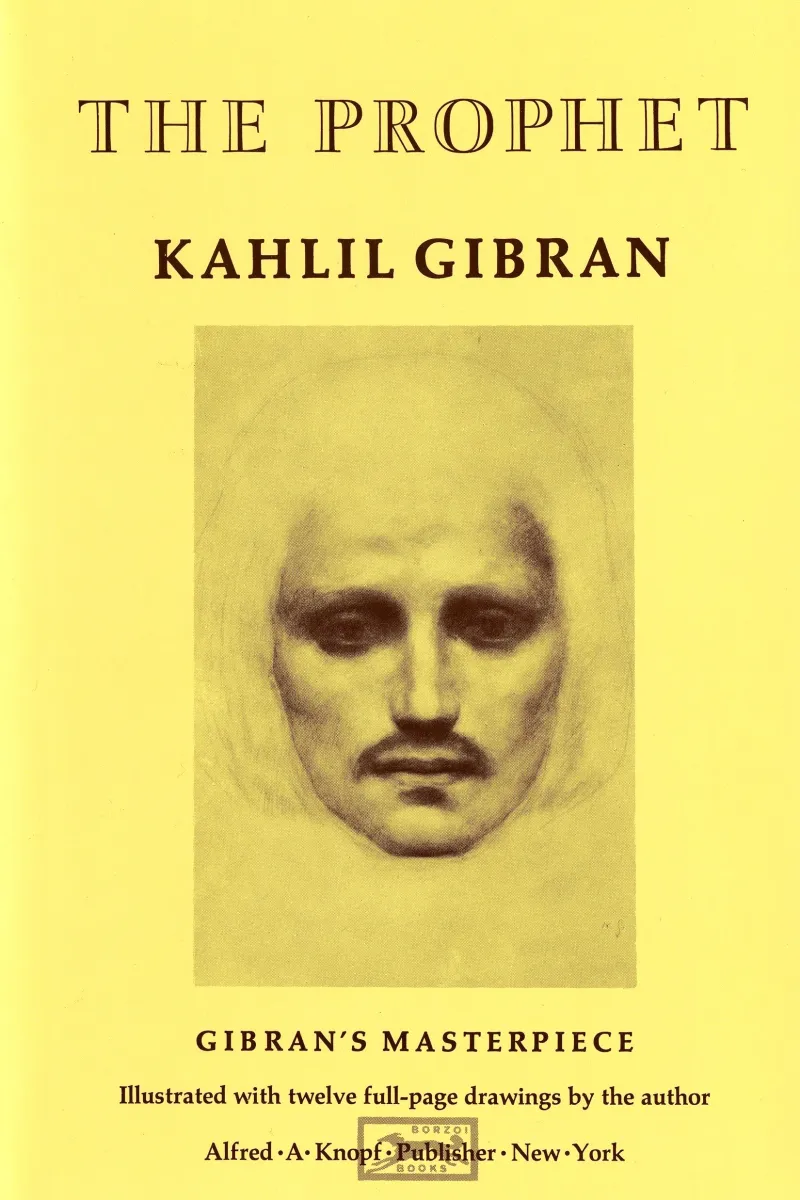 Image of Shelf copy