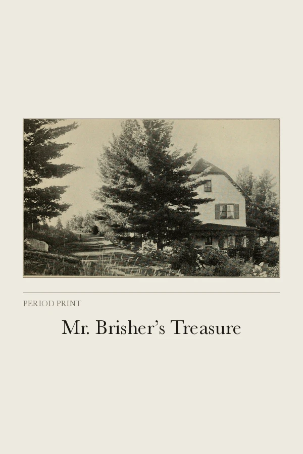 Mr. Brisher’s Treasure cover