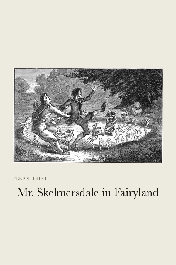 Mr. Skelmersdale in Fairyland cover