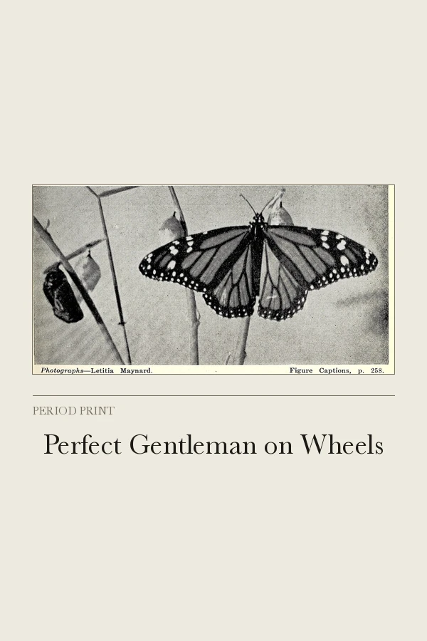 Perfect Gentleman on Wheels cover