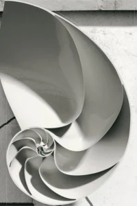 The Grand Design cover
