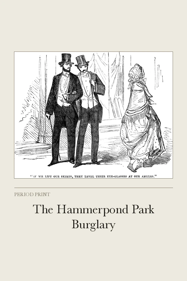 The Hammerpond Park Burglary cover