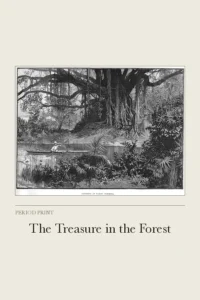 The Treasure in the Forest cover
