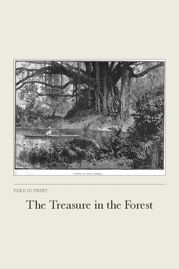 The Treasure in the Forest cover