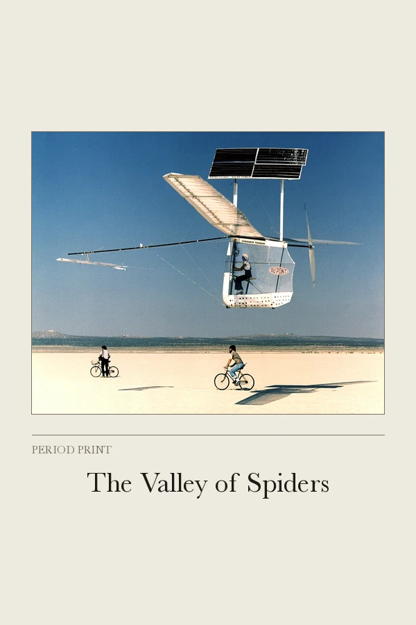The Valley of Spiders cover