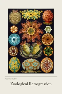 Zoological Retrogression cover