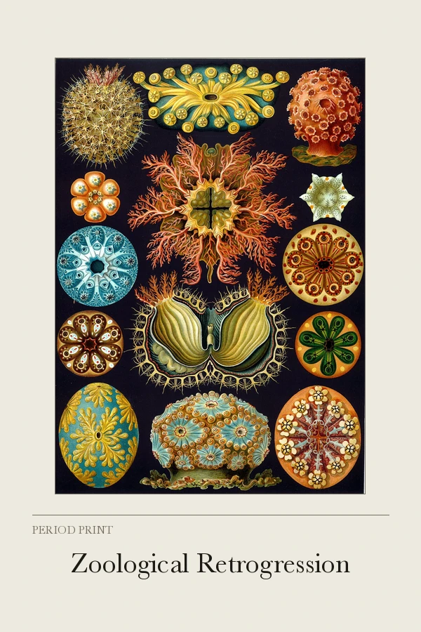 Zoological Retrogression cover